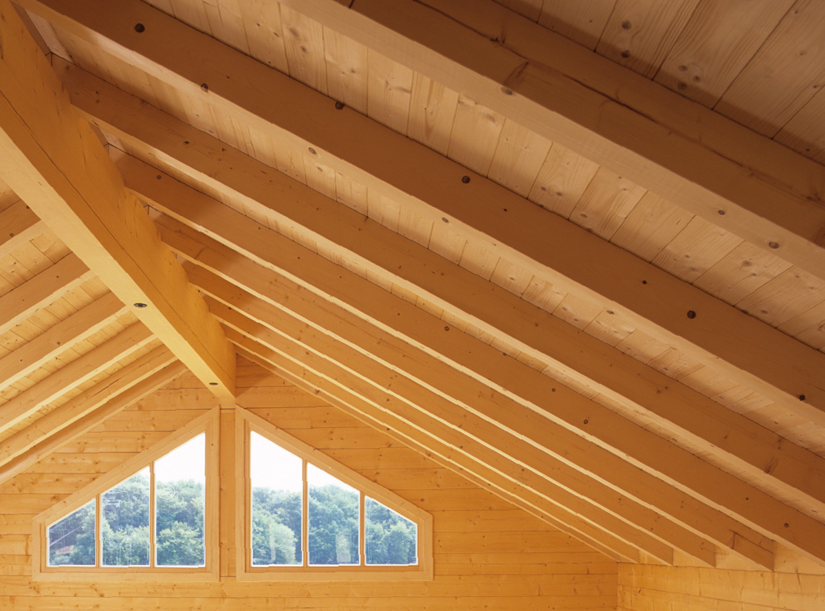 Long-term preventive protection against pests and fire